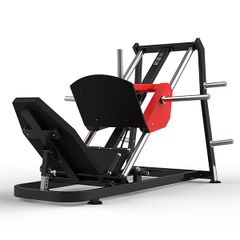 RS-1029 Linear Leg Press