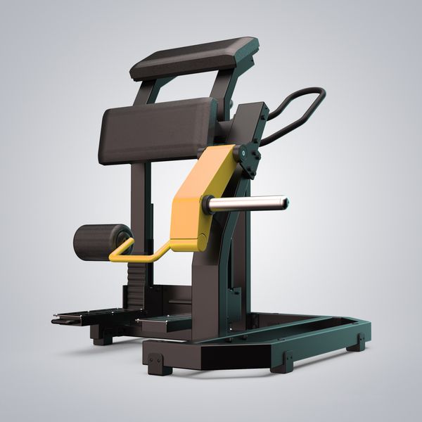 Standing Leg Curl D955Z