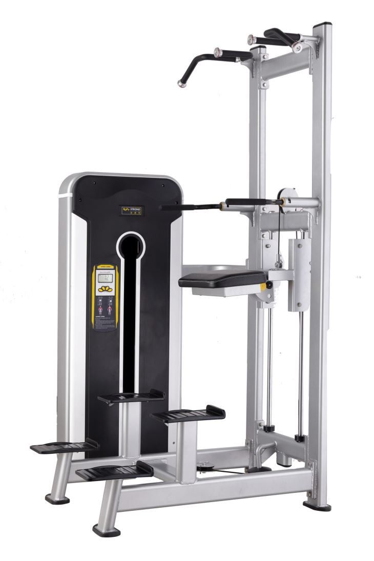 TNT-008 Good Price Professional Fitness Equipment Assist Dip Chin