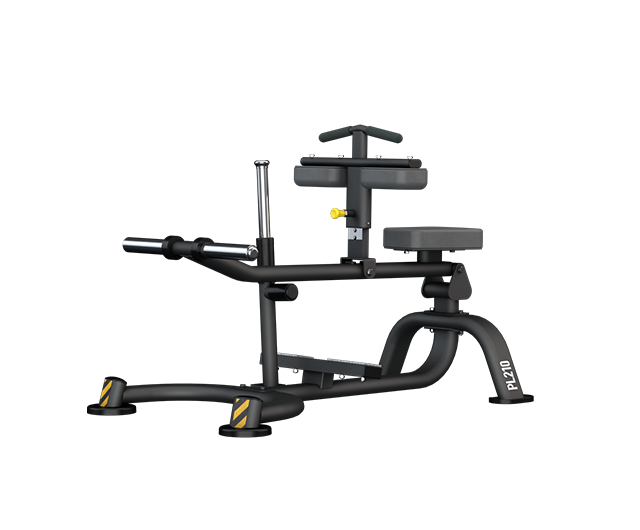 PL210B SEATED CALF