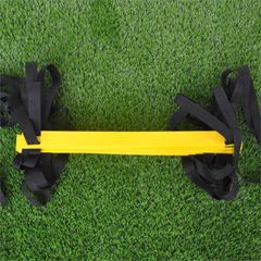 Speed Training Agility Ladder