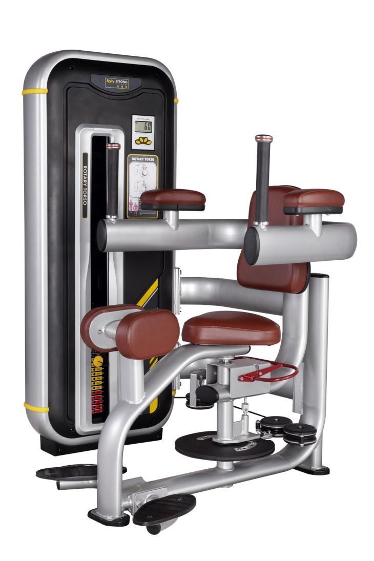 Professional Gym Equipment BN-011 Torso Rotation