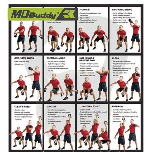 Tạ ấm từ Urethane các loại MDBuddy MD2220