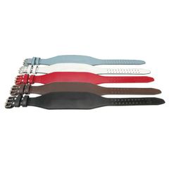 Weightlifting Belt BT300