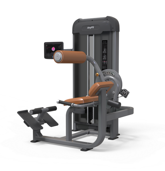 Abdominal/Back Extension