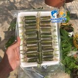 Ốc Nhồi Ống Nứa