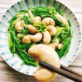 Ngọc Kê Gà Tây