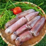 Mực Ống Sống Cấp Đông