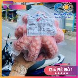 Bạch Tuộc Đỏ Nhật (Nissi)
