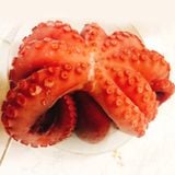 Bạch Tuộc Đỏ Nhật (Nissi)