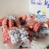 Bạch Tuộc Đỏ Nhật (Nissi)