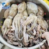 Bạch Tuộc Thiên Nhiên (Size 14-20 con/Kg)