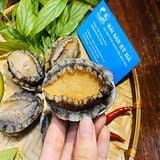 Bào ngư Net 5.5 (bán chạy)