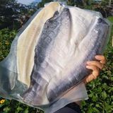 Cá Dứa 1 Nắng (Hàng Xịn 100%)