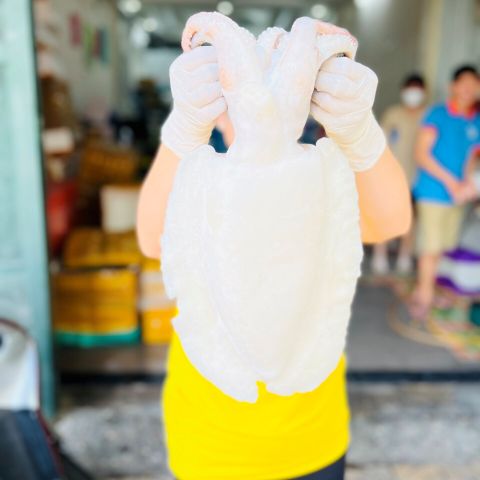 Mực nang nguyên con làm sạch