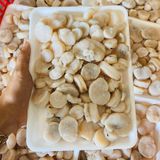 Cồi Sò Mai