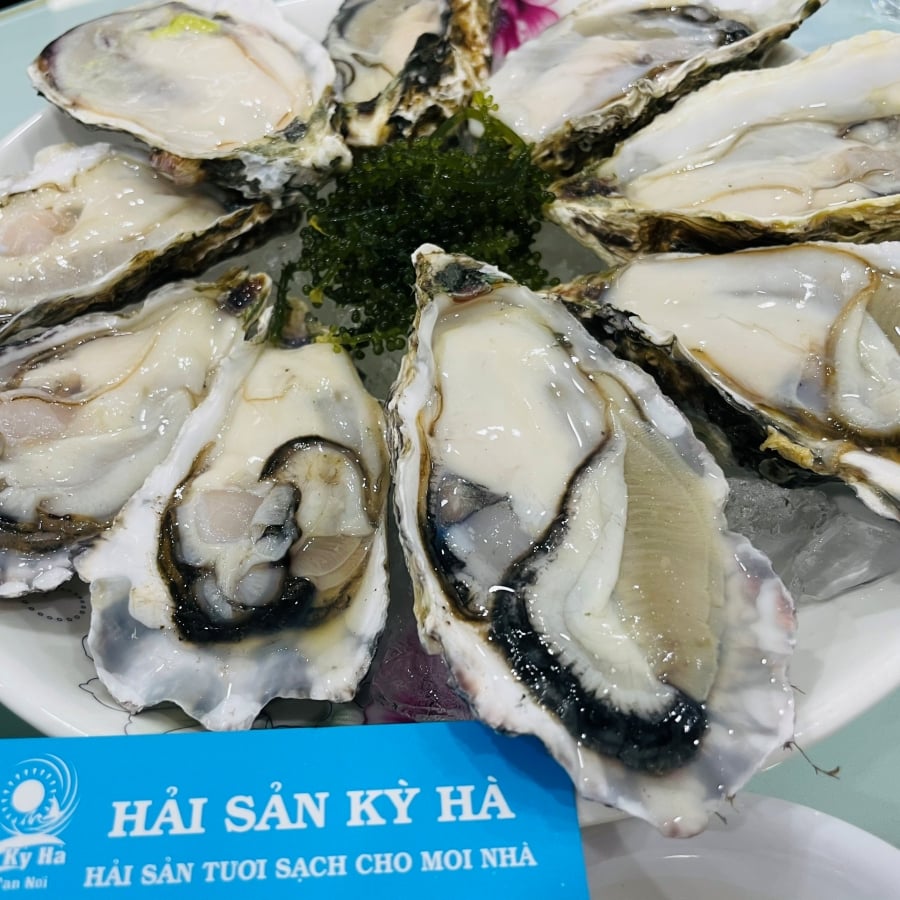 Giải mã hương vị tinh hoa: Tuyển tập món ngon từ Hàu Nissi Sashimi đẳng cấp