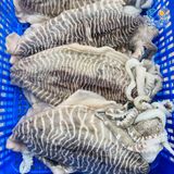 Mực nang khổng lồ 2-3kg