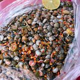Ốc ruốc