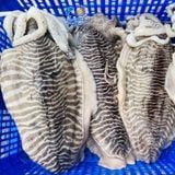 Mực nang khổng lồ 2-3kg