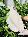 Mực nang nguyên con làm sạch