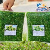 Rong Biển trộn mè