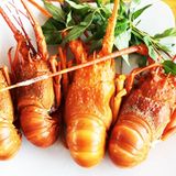 Tôm hùm tươi 3-4 con/1kg