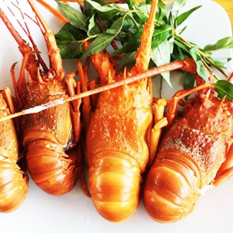 Tôm hùm tươi 3-4 con/1kg