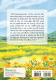  Mùa Dã Quỳ Nở Rộ 
