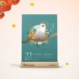  Lịch để bàn 2023: 365 độ mèo 