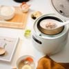 Nồi cơm điện mini đa năng Bear DFB-B12F1
