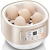 Nồi nấu chậm Bear DDZ-A08D1