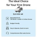  DJI Mini 4K 