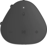  Sonos Roam 