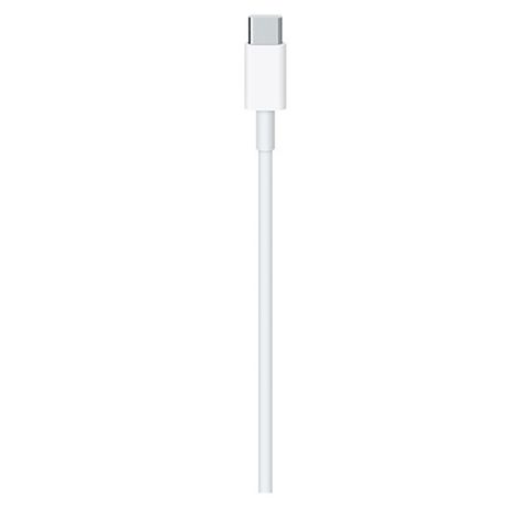 Cáp Type C - Type C 2 m Apple MLL82 ...