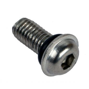  [ORDER] DWT Wheel Bead lock Screw 10mm & Oring 