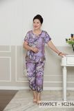 1599TCT - Đồ bộ Tole nữ trung niên mặc nhà Thành Duyên bông, tay ngắn, quần 9 tấc (5-24)
