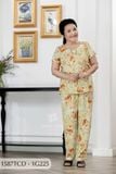 1587TCD - Đồ bộ Tole nữ trung niên mặc nhà Thành Duyên bông, tay con, quần dài ( 04-24)