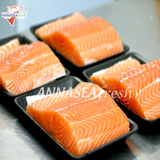 Cá Hồi Tươi - 04
