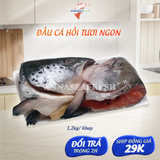  Đầu cá hồi (gr) 