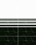  India-3060-INCF0300600011 