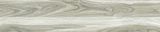  HSG-20100-INDAL0201000007-ST 