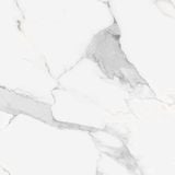  CHN-100100-106605 