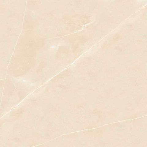  HSG-100100-INSPA1001000006-ST 