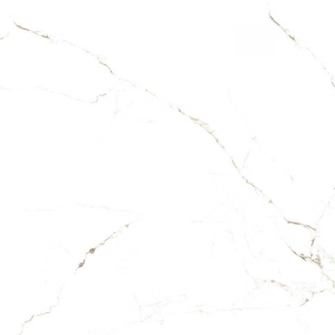  HSG-100100-INSPA1001000010-ST 