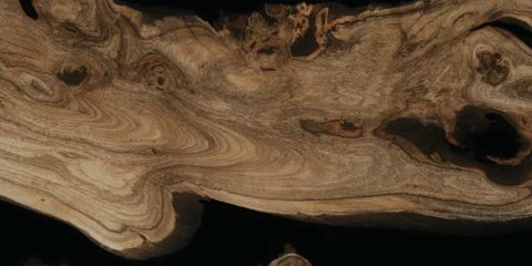  HSG-60120-INCEF0601200019-HG 