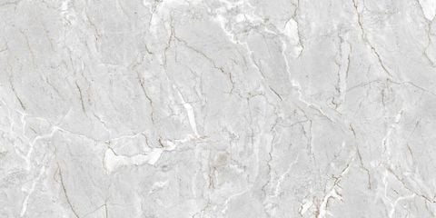  HSG-60120-INEMB0601200068-CR 