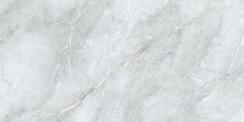  HSG-60120-INEMB0601200070-CR 