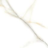  India-100100-INST1001000001 