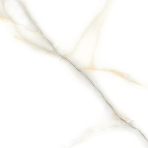  India-100100-INST1001000001 